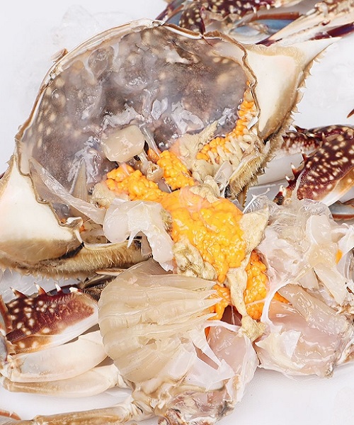 활 암꽃게 중 1kg(3~5미 내외)